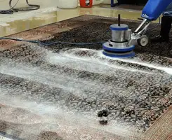 Professional rug cleaning with a rotary floor machine and shampoo foam, deep-cleaning an area rug, in Baltimore, MD.