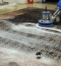 Professional rug cleaning with a rotary floor machine and shampoo foam, deep-cleaning an area rug Baltimore, MD.